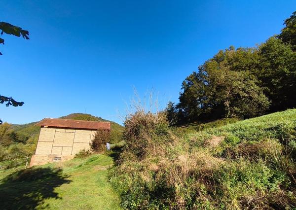 Maison rénovée avec grange et terrain de plus d’un hectare