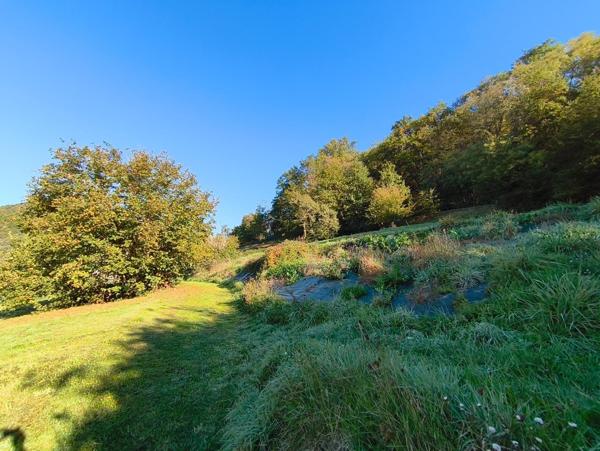 Maison rénovée avec grange et terrain de plus d’un hectare