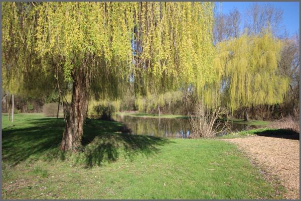 Maison à AUBIGNE-RACAN, 72800 - 4 pièces 60m²