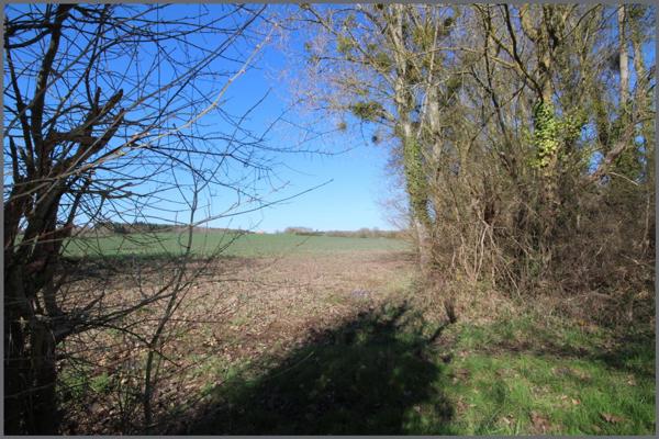 Maison à AUBIGNE-RACAN, 72800 - 4 pièces 60m²