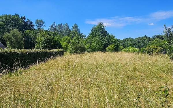 Terrain à vendre