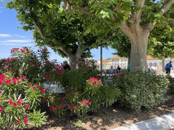 Appartement à vendre à Port-Vendres (66660) - Pyrénées-Orientales
