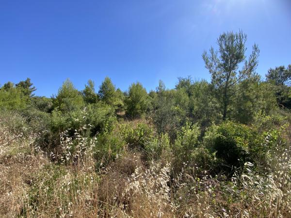 À vendre - Terrain agricole 25760 m² situé à Cruzy (34310)