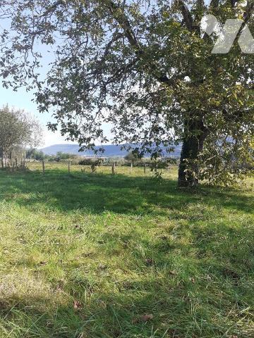 BUTHIERS TERRAIN A BATIR