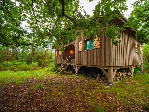 maison 3 pièces 60m² à vendre à Sainte-Eulalie-en-Born