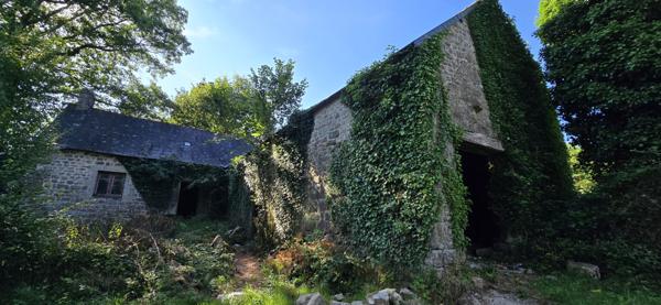 Mellionnec (22110) Maison de 70 m² sur terrain de 6638 m² avec dépendances – Environnement calme et boisé