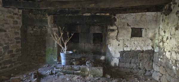 Mellionnec (22110) Maison de 70 m² sur terrain de 6638 m² avec dépendances – Environnement calme et boisé