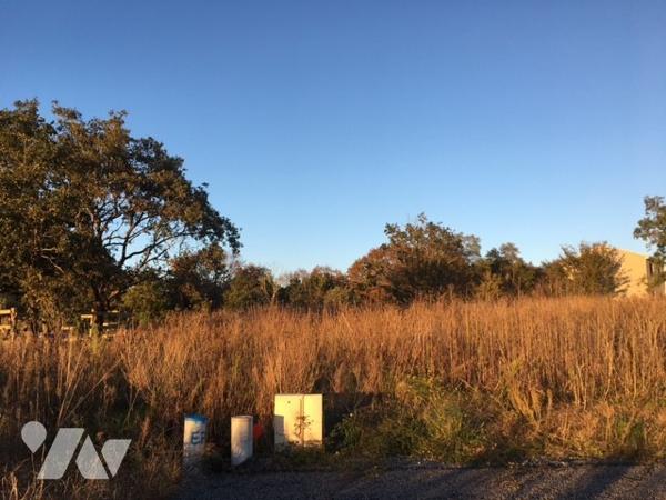 Vue sur vignes - Au coeur du bourg, TAB 356m², viabilisé, SDP 180m²