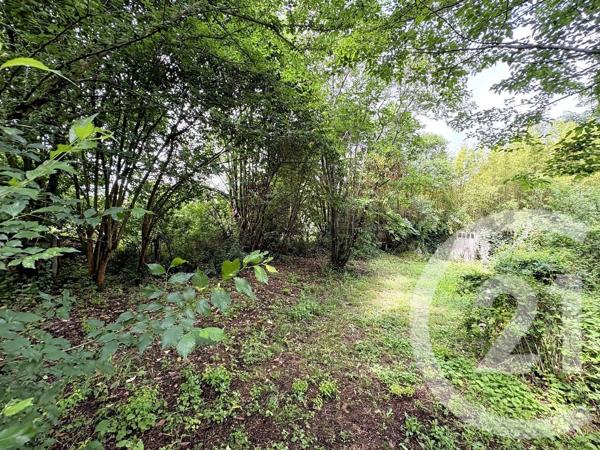 Maison à vendre  5 pièces - 123,21 m 2   TOURNEFEUILLE  - 31
