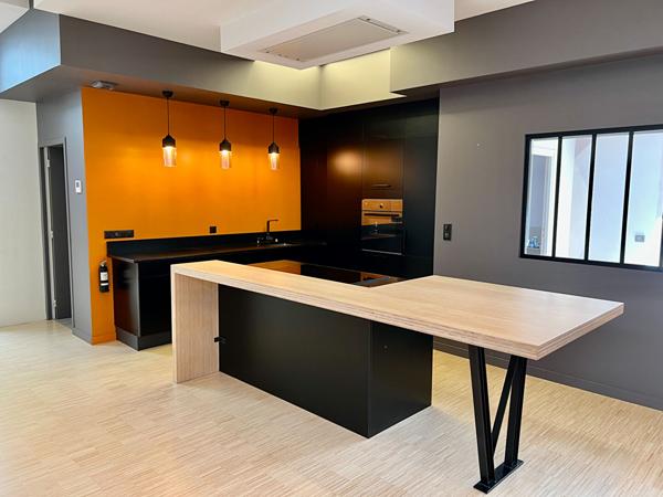 Loft d'EXCEPTION SEMI-MEUBLE avec grande terrasse, proche du centre-ville et de la place des Carmes