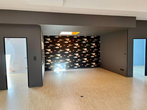 Loft d'EXCEPTION SEMI-MEUBLE avec grande terrasse, proche du centre-ville et de la place des Carmes