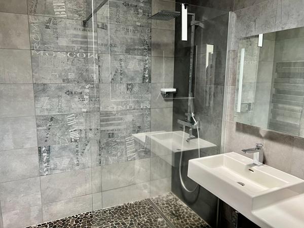 Loft d'EXCEPTION SEMI-MEUBLE avec grande terrasse, proche du centre-ville et de la place des Carmes