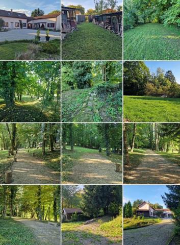 PROPRIÉTÉ avec VILLA PARC FORET à vendre 8 pièces proche CONTREXEVILLE (88) idéale GITE de groupe/ Maison - 6910 m2 de TERRAIN