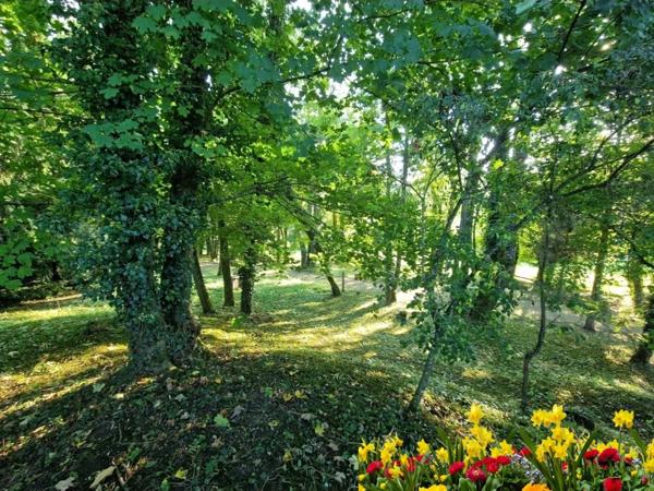 PROPRIÉTÉ avec VILLA PARC FORET à vendre 8 pièces proche CONTREXEVILLE (88) idéale GITE de groupe/ Maison - 6910 m2 de TERRAIN