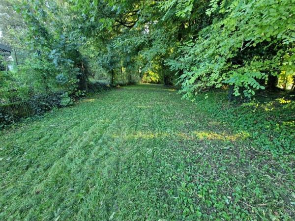 PROPRIÉTÉ avec VILLA PARC FORET à vendre 8 pièces proche CONTREXEVILLE (88) idéale GITE de groupe/ Maison - 6910 m2 de TERRAIN