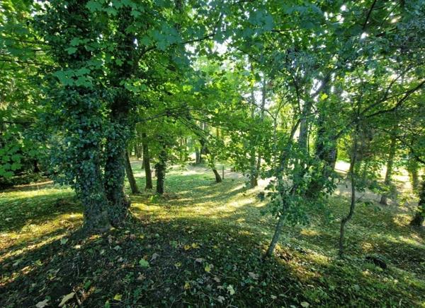 PROPRIÉTÉ avec VILLA PARC FORET à vendre 8 pièces proche CONTREXEVILLE (88) idéale GITE de groupe/ Maison - 6910 m2 de TERRAIN