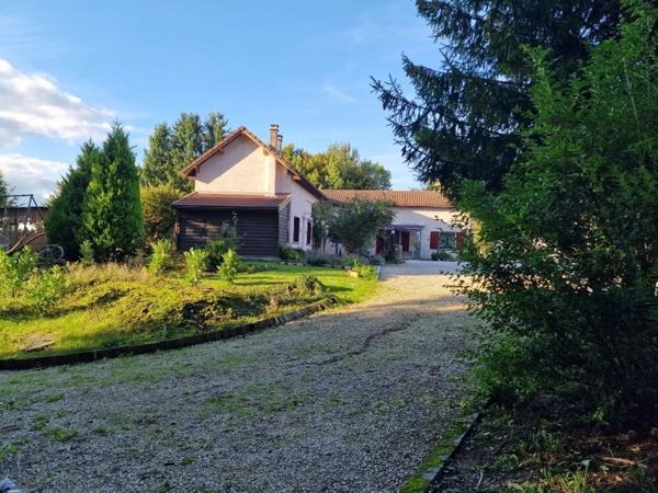 PROPRIÉTÉ avec VILLA PARC FORET à vendre 8 pièces proche CONTREXEVILLE (88) idéale GITE de groupe/ Maison - 6910 m2 de TERRAIN