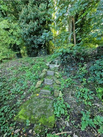 PROPRIÉTÉ avec VILLA PARC FORET à vendre 8 pièces proche CONTREXEVILLE (88) idéale GITE de groupe/ Maison - 6910 m2 de TERRAIN