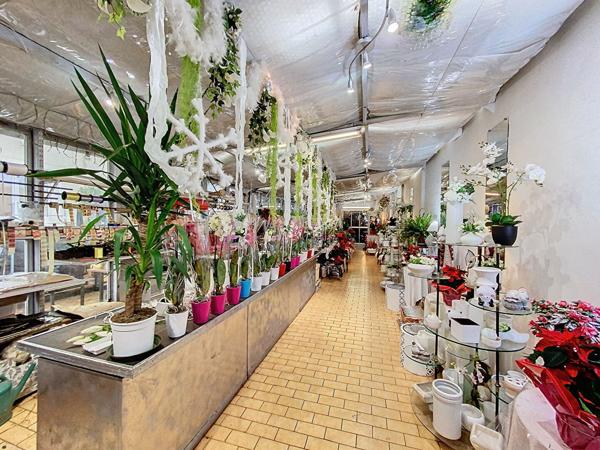 Achat local commercial Champigny-sur-Marne - 5 pièce(s) - 395 m² - 745 000 €