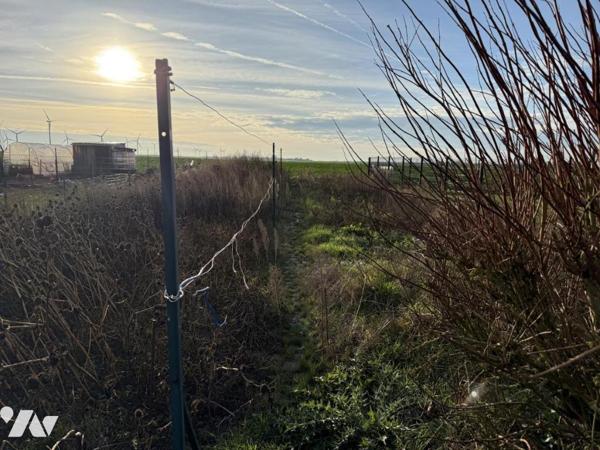 Maison semi-individuelle