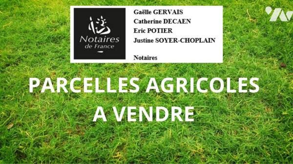 PARCELLES AGRICOLES A VENDRE A SOLIGNY LA TRAPPE