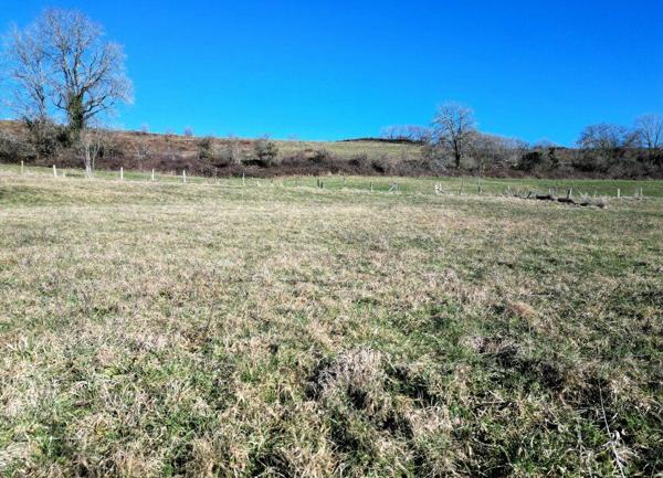 Terrain à vendre    Prades-d'Aubrac