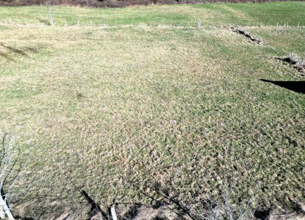 Terrain à vendre    Prades-d'Aubrac