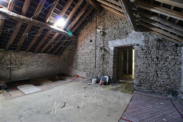 Ensemble immobilier avec maison et dépendances, cour et jardin