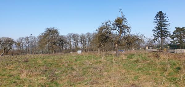 Fère-en-Tardenois (02130) TERRAIN CONSTRUCTIBLE
