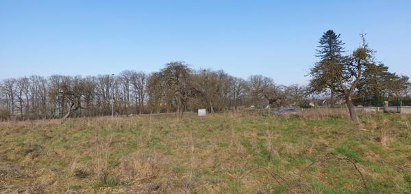 Fère-en-Tardenois (02130) TERRAIN CONSTRUCTIBLE