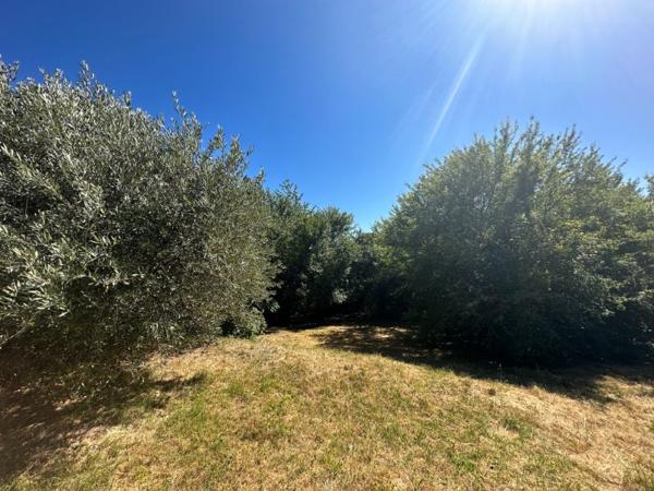 Terrain Constructible à Saint-Maime (04300)