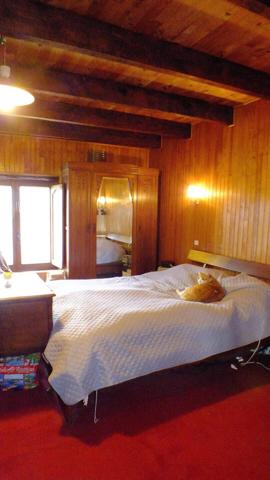 Maison de ville avec loggia, jardin, dépendance, garage