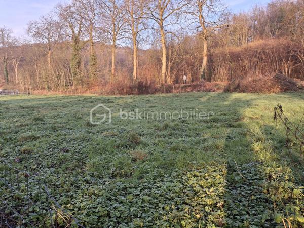 Terrain de 1 300 m²