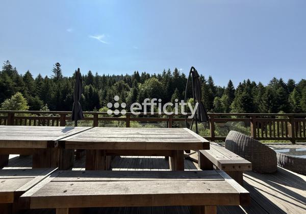 Maison 10 pièces - 330 m² Bien prestige