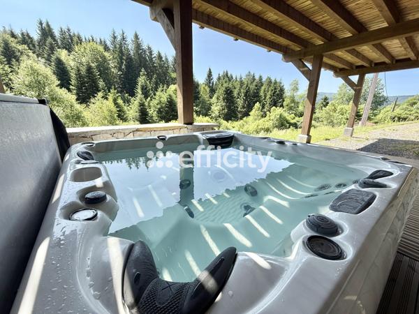 Maison 10 pièces - 330 m² Bien prestige