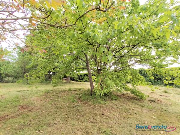 Terrain constructible de 3000 m² à Rouillé