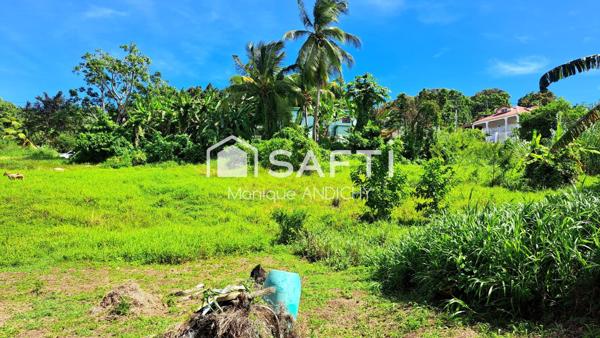 Terrain construcible de 1300 m² sur le françois