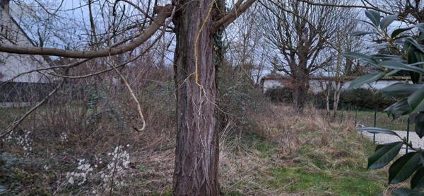 Terrain à Batir à vendre à Villemandeur dans le Loiret (45700), ref : 45049-104