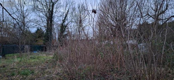 Terrain à Batir à vendre à Villemandeur dans le Loiret (45700), ref : 45049-104