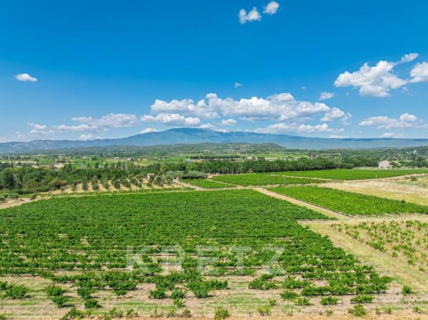Bastide Provençale de 345m2 avec vue Mont Ventoux - Mazan