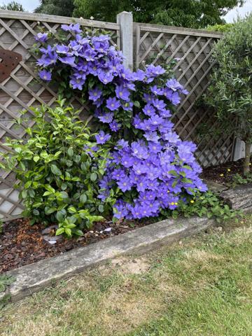 Berville-sur-Mer (27210) EXCLUSIVITE !! A 15 MINUTES DE HONFLEUR, SUPERBE NORMANDE RENOVEE A DECOUVRIR TRES VITE !