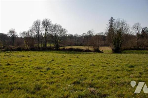 Terrain à bâtir non viabilisé à Servigny - Gouville sur Mer 
Surface de 1 915 m². 
Raccordement...