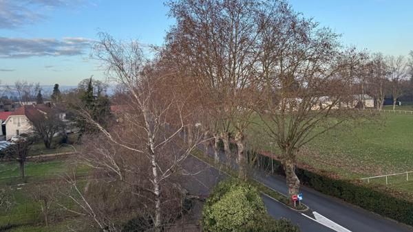 Nouveauté ORIGAMI en EXCLUSIVITE