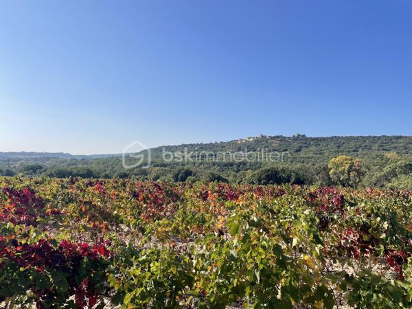 Terrain agricole de 45 000 m²