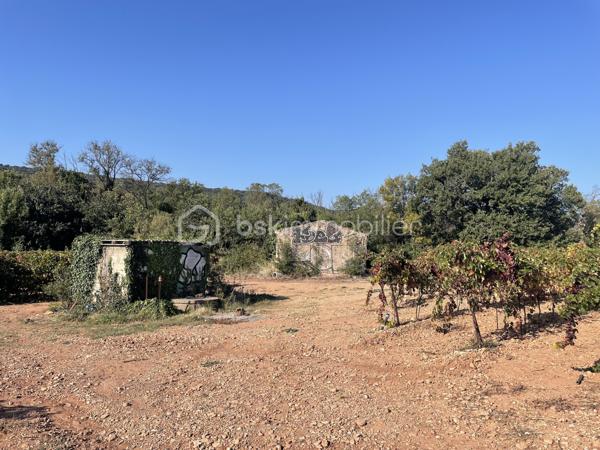 Terrain agricole de 45 000 m²