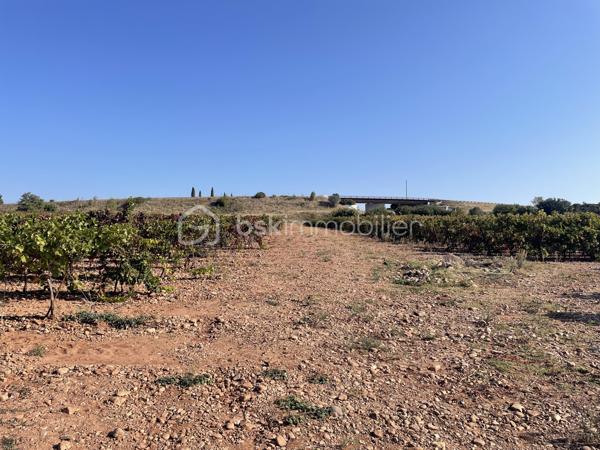 Terrain agricole de 45 000 m²