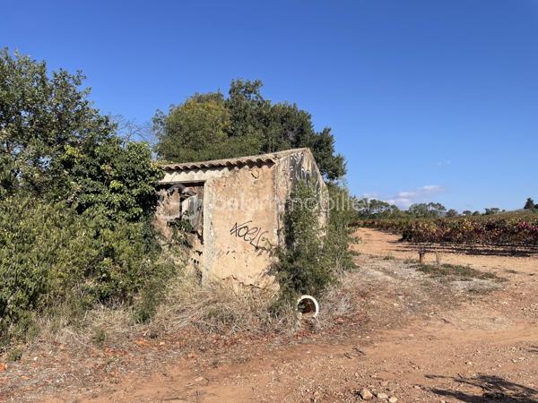 Terrain agricole de 45 000 m²