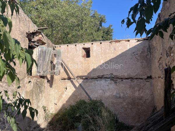 Terrain agricole de 45 000 m²