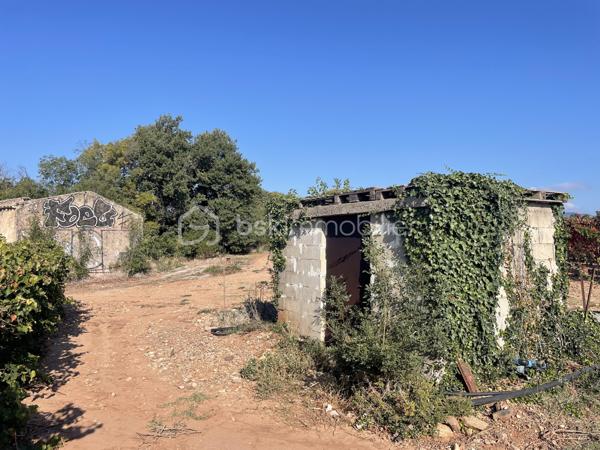 Terrain agricole de 45 000 m²