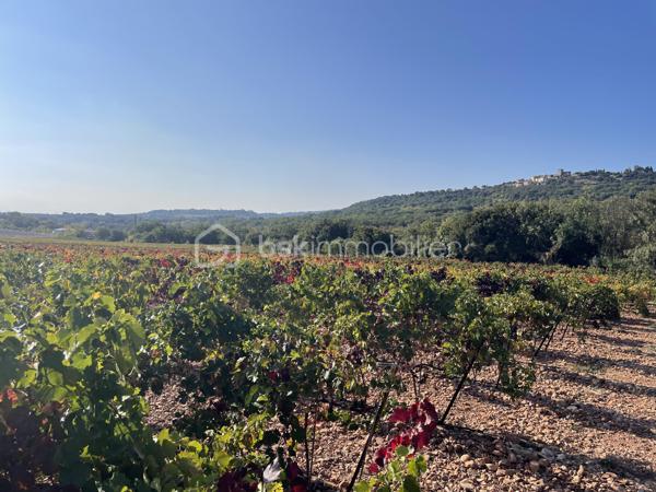 Terrain agricole de 45 000 m²